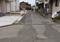 南東道路