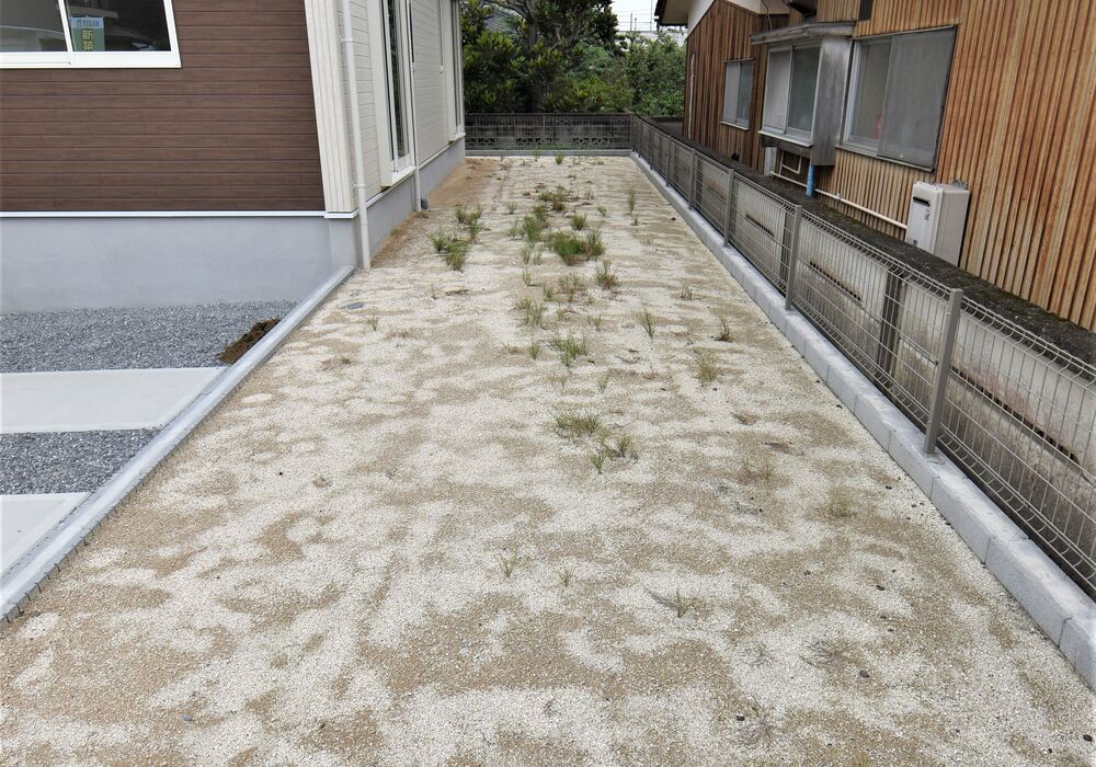 庭
